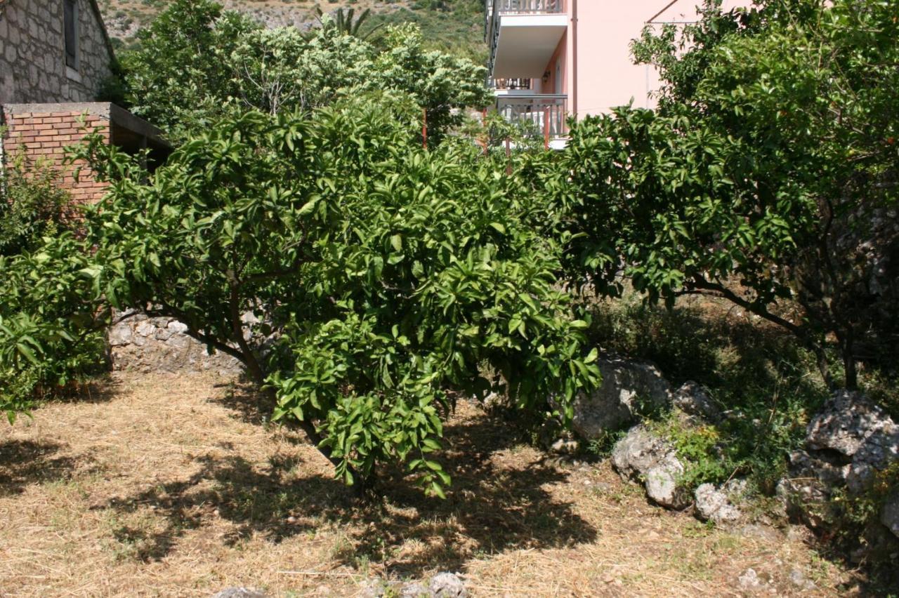 Apartments By The Sea Podaca, Makarska - 6874 Экстерьер фото